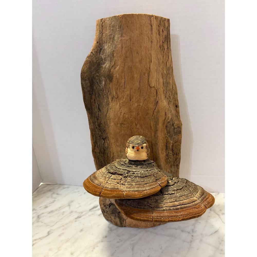Driftwood with adorable baby owl and mushrooms 14"